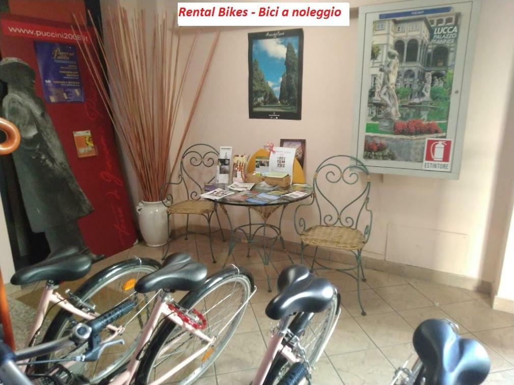 B&B Ai Cipressi Lucca Eksteriør bilde